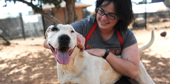 سبع نصائح للحماية من فيروس كورونا صورة رقم 6 سبع نصائح للحماية من فيروس كورونا صورة رقم 6