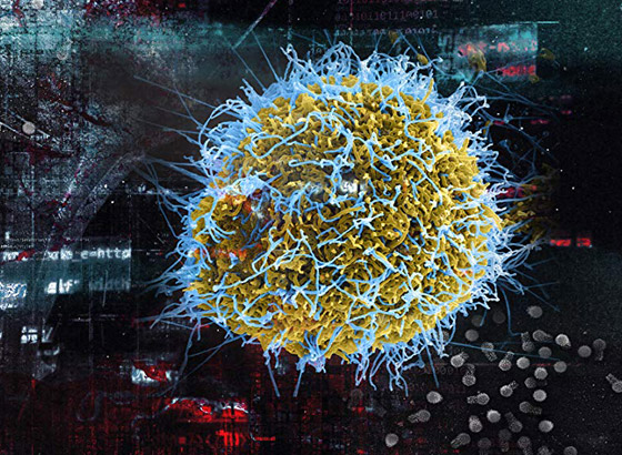 ما الذي يخبئه المستقبل لفيروس كورونا؟ هكذا انتهت 3 أمراض معدية أخرى صورة رقم 3 ما الذي يخبئه المستقبل لفيروس كورونا؟ هكذا انتهت 3 أمراض معدية أخرى صورة رقم 3