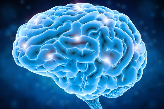 لا يتوقف عن العمل.. إليكم حقائق مذهلة ومدهشة عن المخ البشري صورة رقم 8