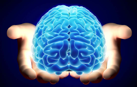 لا يتوقف عن العمل.. إليكم حقائق مذهلة ومدهشة عن المخ البشري صورة رقم 5