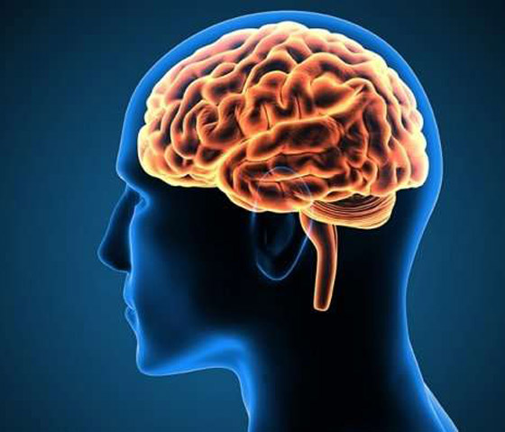 لا يتوقف عن العمل.. إليكم حقائق مذهلة ومدهشة عن المخ البشري صورة رقم 6