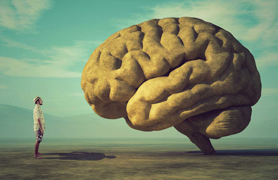 لا يتوقف عن العمل.. إليكم حقائق مذهلة ومدهشة عن المخ البشري صورة رقم 7