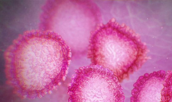 فيروس كورونا: شائعات طبية عليك تجاهلها! صورة رقم 6 فيروس كورونا: شائعات طبية عليك تجاهلها! صورة رقم 6