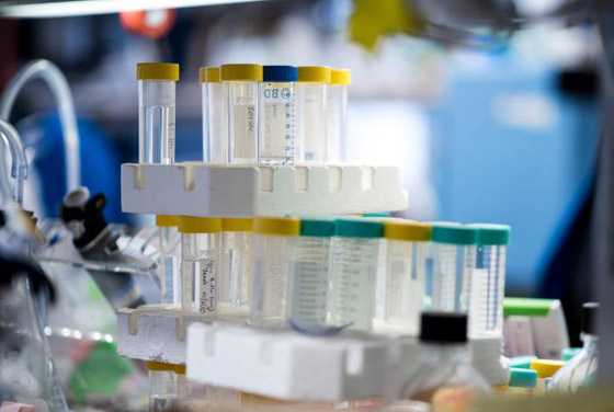 أخيرا.. دراسة 