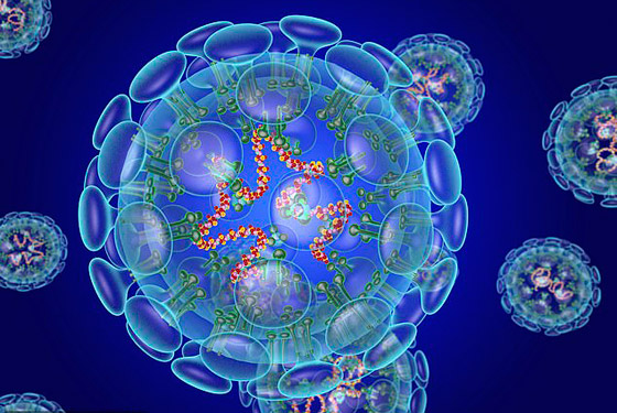 الأصعب لم يأت بعد.. فيروس كورونا يؤرق العالم ويستكين في الصين! صورة رقم 10 الأصعب لم يأت بعد.. فيروس كورونا يؤرق العالم ويستكين في الصين! صورة رقم 10