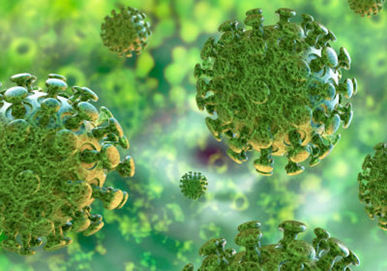 إليكم طرائف ومواقف وأحداث سببها فيروس كورونا المستجد صورة رقم 3 إليكم طرائف ومواقف وأحداث سببها فيروس كورونا المستجد صورة رقم 3