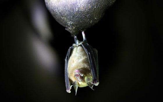 ممنوع اللمس: أين يختبئ فيروس كورونا؟ صورة رقم 8 ممنوع اللمس: أين يختبئ فيروس كورونا؟ صورة رقم 8