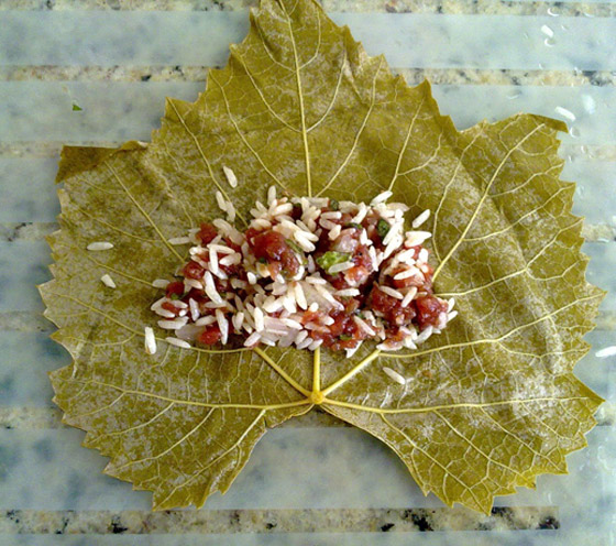 تحدّي الريجيم الألماني: اخسر 5 - 10 كغم في 14 يوم فقط   صورة رقم 6