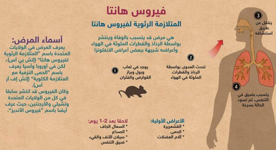 بعد إعلان الصين عن حالة وفاة.. كل ما تريد معرفته عن فيروس هانتا! صورة رقم 1