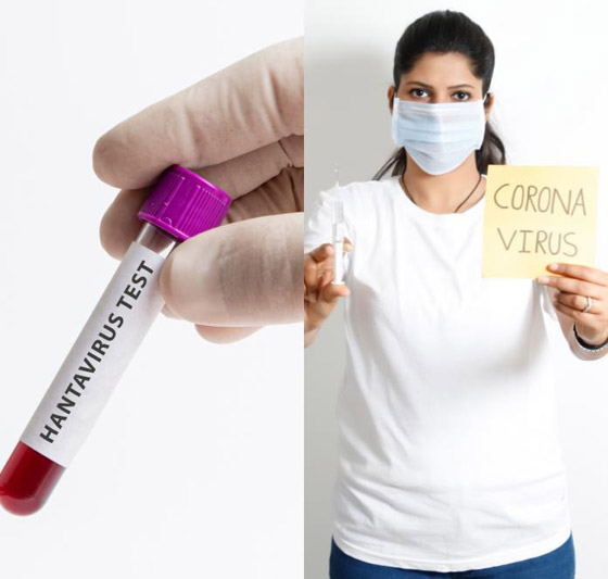 بعد إعلان الصين عن حالة وفاة.. كل ما تريد معرفته عن فيروس هانتا! صورة رقم 17