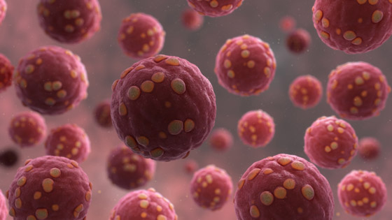 بعد إعلان الصين عن حالة وفاة.. كل ما تريد معرفته عن فيروس هانتا! صورة رقم 6