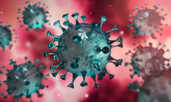 تفاصيل دقيقة عن معركة فيروس كورونا داخل الجسم خلال 14 يوما! صورة رقم 11