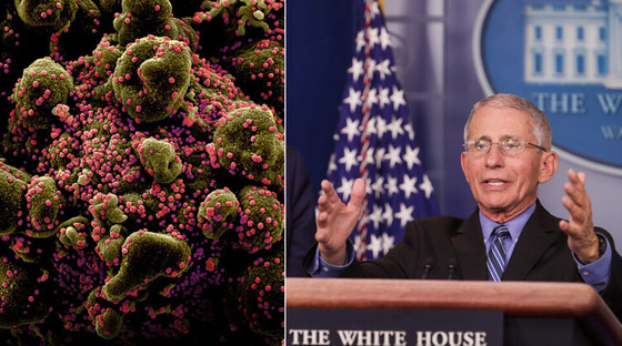 فيروس كورونا: أمريكا تتجاوز الصين وإيطاليا وتسجل أكبر عدد من الإصابات! صورة رقم 14