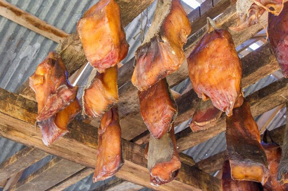 أسماك سامة وفطر قاتل.. إليكم أخطر أطعمة يأكلها البشر في العالم! صورة رقم 8