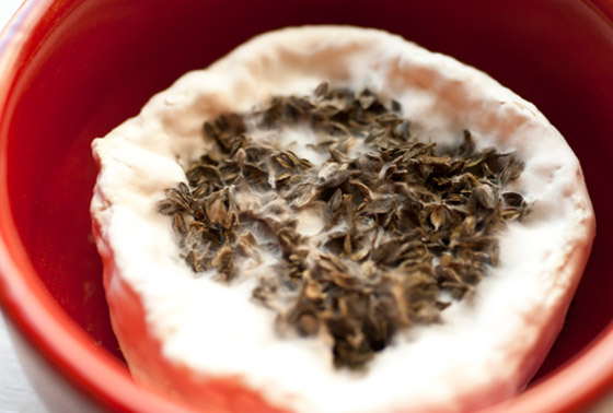 أسماك سامة وفطر قاتل.. إليكم أخطر أطعمة يأكلها البشر في العالم! صورة رقم 9