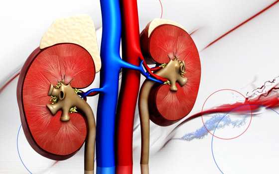 لمرضى الكلى.. هذه النصائح تحميكم من العدوى بفيروس كورونا صورة رقم 5 لمرضى الكلى.. هذه النصائح تحميكم من العدوى بفيروس كورونا صورة رقم 5