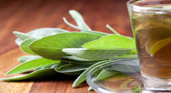 7 وصفات طبيعية تساعد في صبغ وتلوين الشعر في المنزل صورة رقم 5 7 وصفات طبيعية تساعد في صبغ وتلوين الشعر في المنزل صورة رقم 5