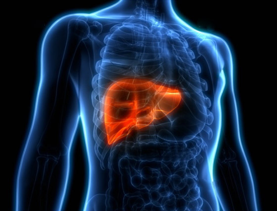 كيف يؤثر فيروس كورونا على الكبد؟.. هذا سر وفاة الأصحاء! صورة رقم 6 كيف يؤثر فيروس كورونا على الكبد؟.. هذا سر وفاة الأصحاء! صورة رقم 6