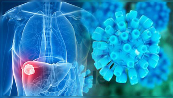 كيف يؤثر فيروس كورونا على الكبد؟.. هذا سر وفاة الأصحاء! صورة رقم 4 كيف يؤثر فيروس كورونا على الكبد؟.. هذا سر وفاة الأصحاء! صورة رقم 4