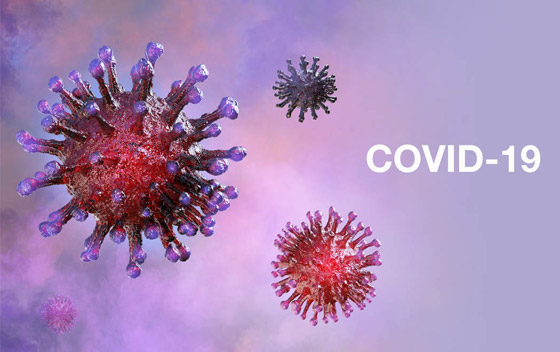 كيف يؤثر فيروس كورونا على الكبد؟.. هذا سر وفاة الأصحاء! صورة رقم 2 كيف يؤثر فيروس كورونا على الكبد؟.. هذا سر وفاة الأصحاء! صورة رقم 2