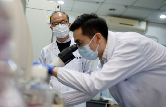 أعراض جديدة خطيرة لكورونا.. آثار الفيروس تصل إلى الدماغ! صورة رقم 5 أعراض جديدة خطيرة لكورونا.. آثار الفيروس تصل إلى الدماغ! صورة رقم 5