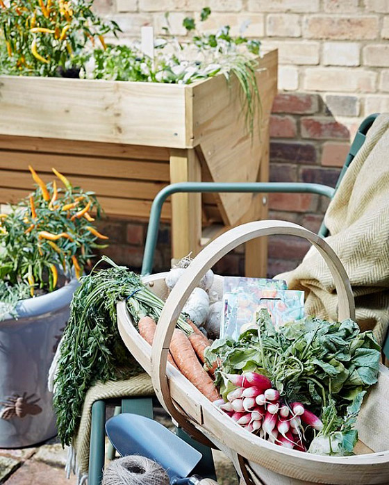 أفضل الخضروات التي يمكنك زراعتها في المنزل خلال العزل صورة رقم 2