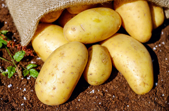 هكذا تتجنبون زيادة الوزن أثناء الحجر الصحي..! صورة رقم 5