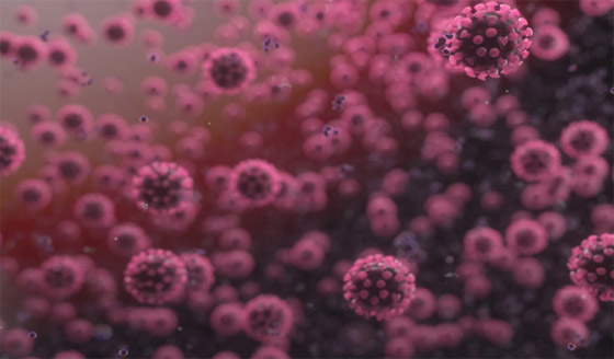 لأول مرة.. التقاط لحظة إصابة فيروس كورونا لخلية سليمة! صور صورة رقم 8 لأول مرة.. التقاط لحظة إصابة فيروس كورونا لخلية سليمة! صور صورة رقم 8