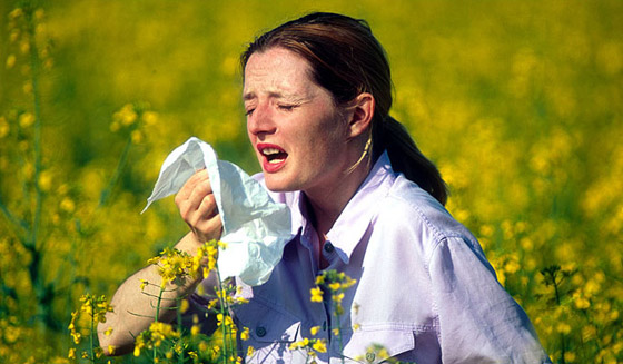 ما هي حساسية حبوب اللقاح التي تنتشر في فصل الربيع؟ صورة رقم 4