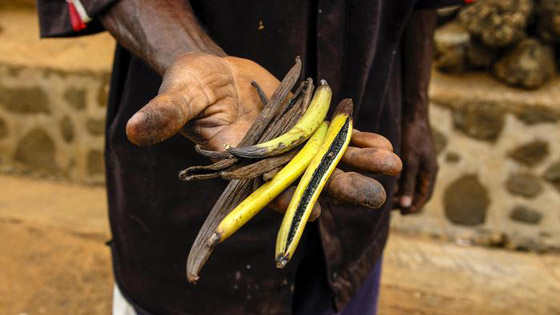 بالصور: تعرفوا إلى 15 من أغلى الأطعمة الفاخرة من حول العالم صورة رقم 8
