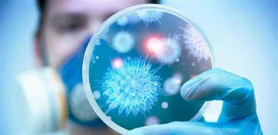 هل تُزيد الحشرات الصيفية من انتشار كورونا؟ صورة رقم 1