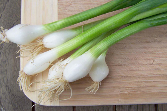 فوائد البصل الأخضر والقيمة الغذائية له صورة رقم 2