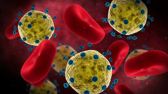 2 مليون مصاب و127 ألف وفاة عالميا بفيروس كورونا ورقم قياسي بأمريكا صورة رقم 6