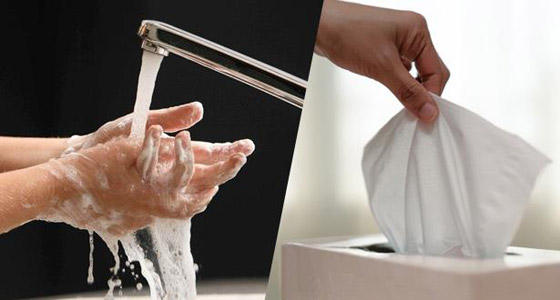 المناديل أم المجفف.. أيهما أفضل للتخلص من الفيروسات؟ صورة رقم 1