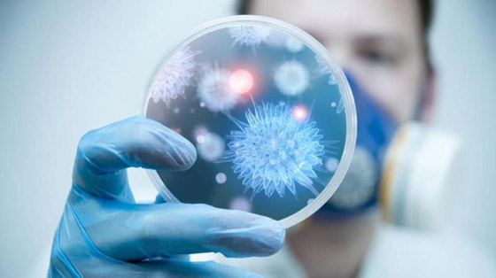 بعد علاجات الملاريا والسل.. هل يكون دواء المعدة الحل؟ صورة رقم 2