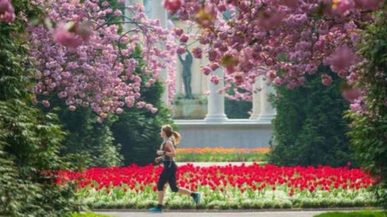 فيروس كورونا: 5 نصائح تساعدك على النوم في زمن الوباء صورة رقم 3 فيروس كورونا: 5 نصائح تساعدك على النوم في زمن الوباء صورة رقم 3