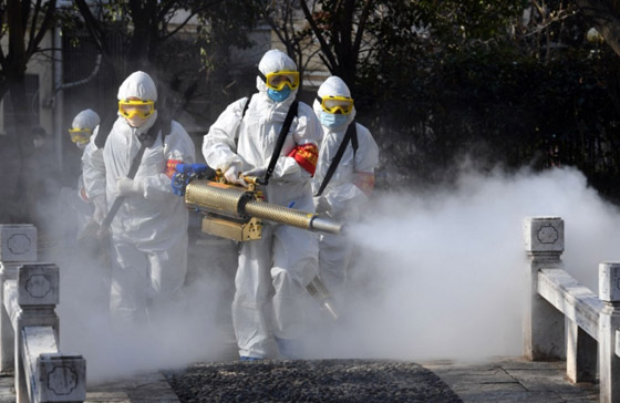 أمريكا: فيروس كورونا ليس نتاجا لنشاطات بشرية أو تحوير وراثي صورة رقم 8