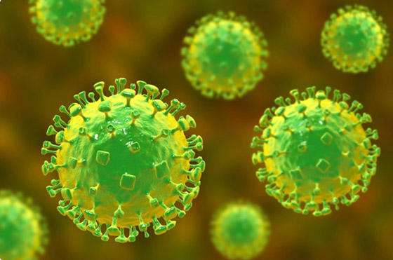 لا لقاح لها.. أمراض موجودة حاليا قد تكون سببا في حدوث الجائحة التالية! صورة رقم 5