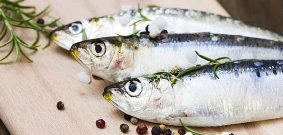 9 نصائح غذائية لتقوية الجهاز المناعي خلال شهر رمضان صورة رقم 4