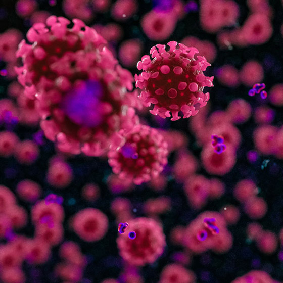 علماء يحذرون من تكيّف فيروس كورونا مع البشر! صورة رقم 5