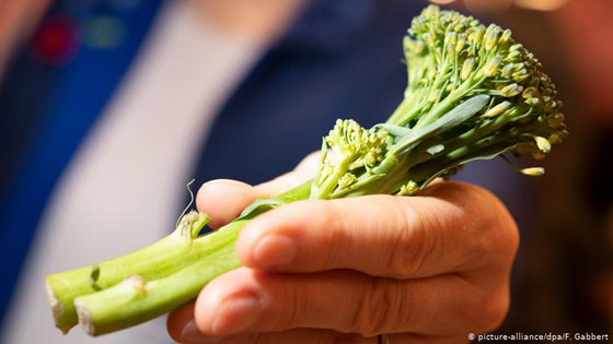 فيتامين سي.. حصن منيع ضد الأمراض والفيروسات الفتاكة! صورة رقم 2