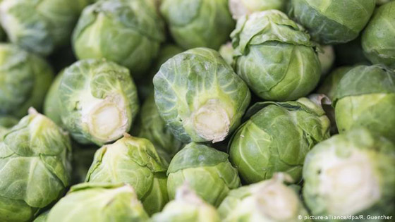 فيتامين سي.. حصن منيع ضد الأمراض والفيروسات الفتاكة! صورة رقم 7