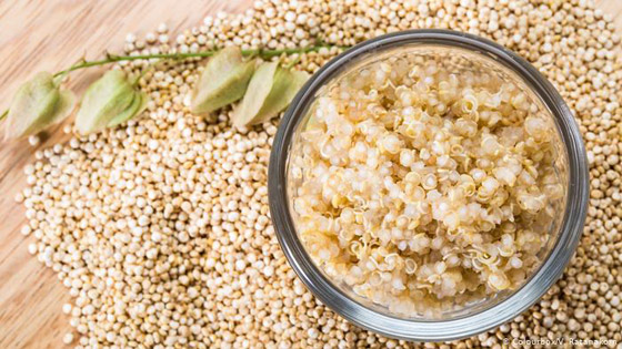 هذه الأطعمة تحفز جسمك على حرق الدهون الزائدة صورة رقم 1