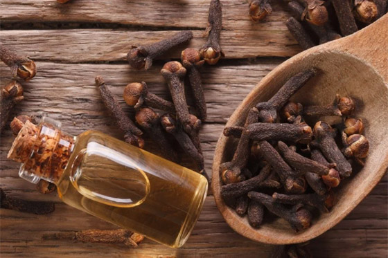 15 فائدة للقرنفل منها قتل البكتيريا، علاج السرطان والسكري وتطويل الشعر صورة رقم 2