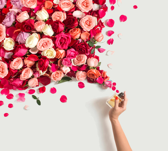 لبقاء رائحة العطر.. إليكم خطوات بسيطة ونصائح لعطر أخاذ يدوم طويلا! صورة رقم 4