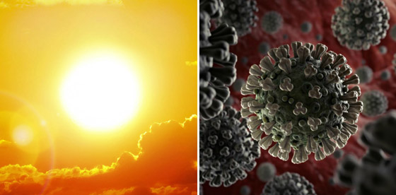 كورونا والحر.. الفيروس يزيد المخاطر الصحية المرتبطة بموجات الحر! صورة رقم 8