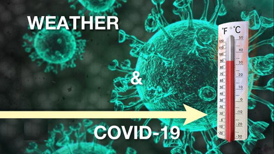 كورونا والحر.. الفيروس يزيد المخاطر الصحية المرتبطة بموجات الحر! صورة رقم 10