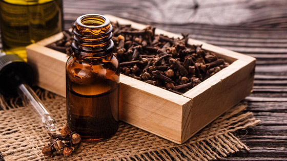 هل زيت القرنفل يعالج فيروس كورونا؟ صورة رقم 1