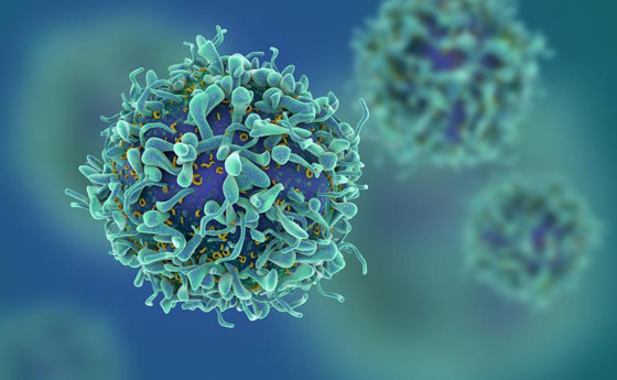 تحذير من فيروس فتاك أخطر من كورونا قد يقضي على نصف العالم! صورة رقم 2