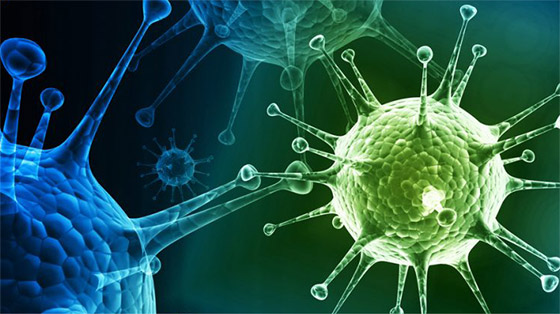 تحذير من فيروس فتاك أخطر من كورونا قد يقضي على نصف العالم! صورة رقم 7